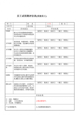 新员工试用期评价模板（新员工在试用期间的表现评价）-第3张图片-马瑞范文网