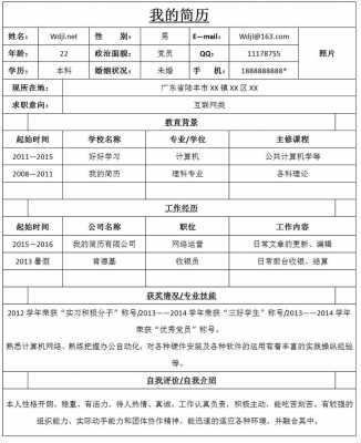 信息类简历模板（信息部个人简历）-第2张图片-马瑞范文网