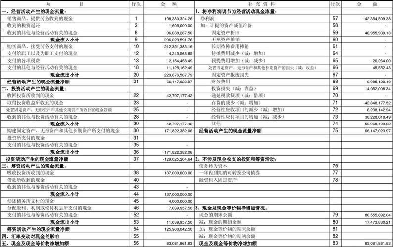 2015年现金流量表模板的简单介绍-第3张图片-马瑞范文网