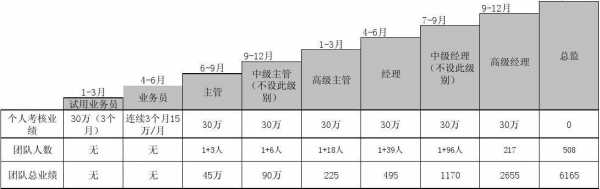 区域经理薪资方案模板范文 区域经理薪资方案模板-第2张图片-马瑞范文网