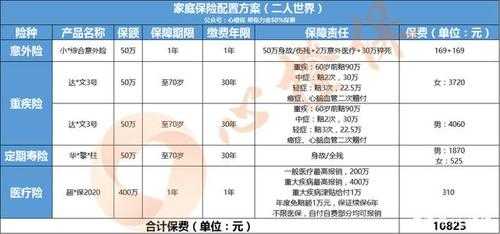 家庭保险方案设计模板（家庭保险方案设计模板图片）-第1张图片-马瑞范文网