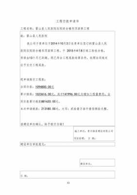 工程狂申请代付模板_委托工程款代付申请-第1张图片-马瑞范文网