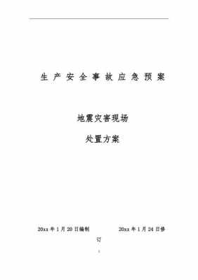 地震处置情况报告 地震现场处置方案模板-第1张图片-马瑞范文网