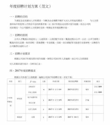 招聘工作规划模板范文 招聘工作规划模板-第3张图片-马瑞范文网