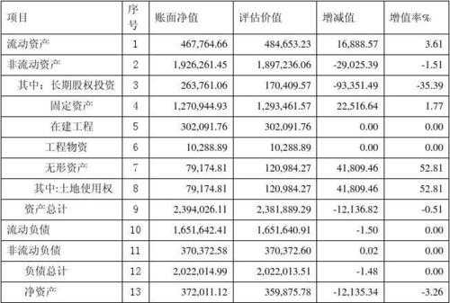 增资评估报告模板（增资扩股资产评估报告）-第2张图片-马瑞范文网