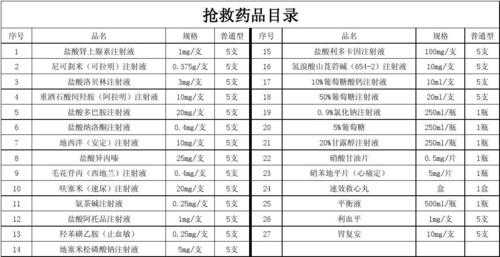 科室急救药品目录模板怎么写-第1张图片-马瑞范文网