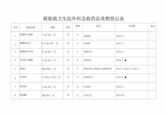 科室急救药品目录模板怎么写-第2张图片-马瑞范文网