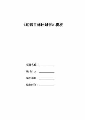 运营计划书模板大学生（运营计划书模板大学生怎么写）-第3张图片-马瑞范文网