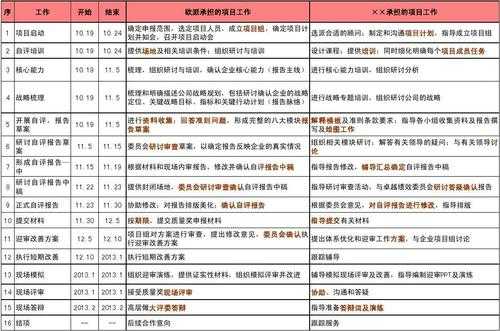 咨询项目计划-咨询项目方案模板-第1张图片-马瑞范文网