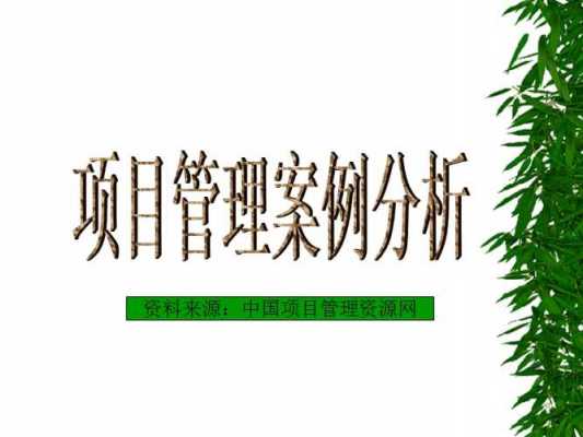  项目管理案例ppt模板「项目管理案例分析题及答案」-第1张图片-马瑞范文网