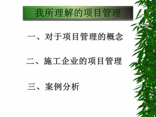  项目管理案例ppt模板「项目管理案例分析题及答案」-第3张图片-马瑞范文网