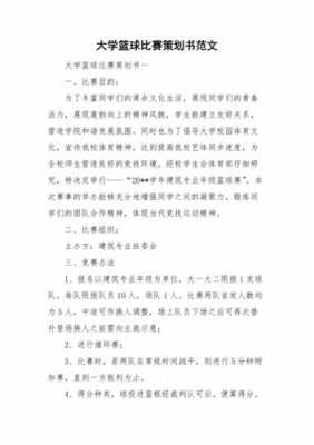 大学篮球比赛策划书模板-第3张图片-马瑞范文网