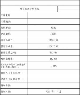 费用分析报告模板-第3张图片-马瑞范文网