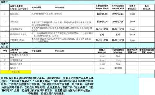  客服部周总结模板「客服部周报」-第3张图片-马瑞范文网