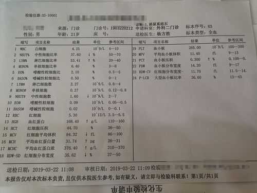 医院血检尿检模板,医院血检尿检模板图 -第1张图片-马瑞范文网