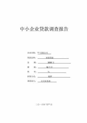 信贷档案整改报告模板,贷款档案自查报告 -第2张图片-马瑞范文网