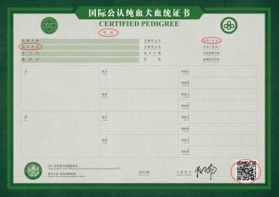 血统证书模板下载安装 血统证书模板下载-第1张图片-马瑞范文网