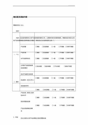 售后服务调查报告-售后市场调查模板-第2张图片-马瑞范文网