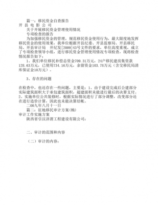 移民审计报告模板,移民审计报告模板范文 -第1张图片-马瑞范文网