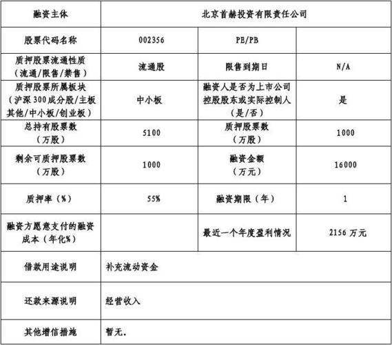  融资结构数据表模板「融资结构数据表模板怎么做」-第2张图片-马瑞范文网