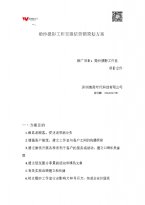 微商的营销方案-微商营销策划方案模板-第3张图片-马瑞范文网