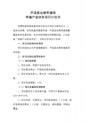 扶贫项目建设计划模板_扶贫项目内容简介-第1张图片-马瑞范文网