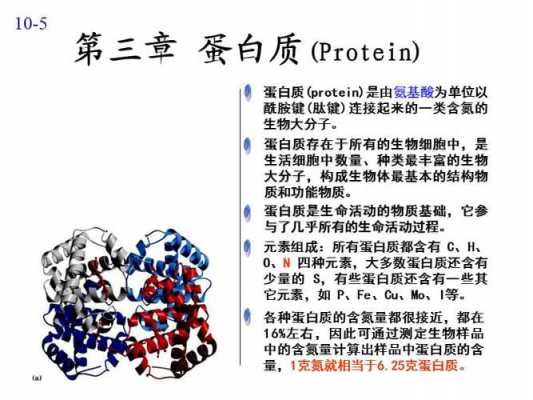 化学蛋白质ppt模板图片-第3张图片-马瑞范文网