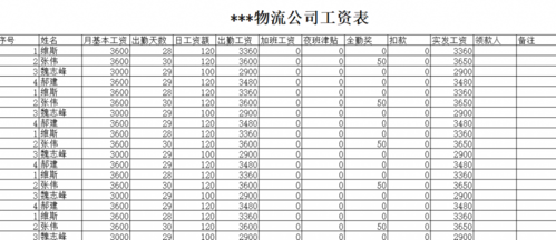 运输公司的工资单模板-第2张图片-马瑞范文网