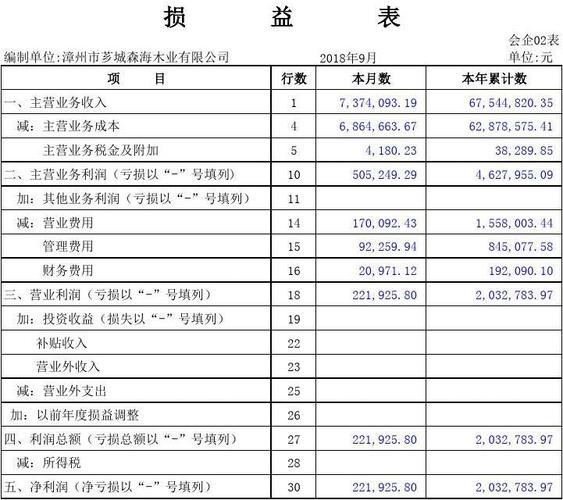 医院年度损益表模板_民营医院损益表-第1张图片-马瑞范文网