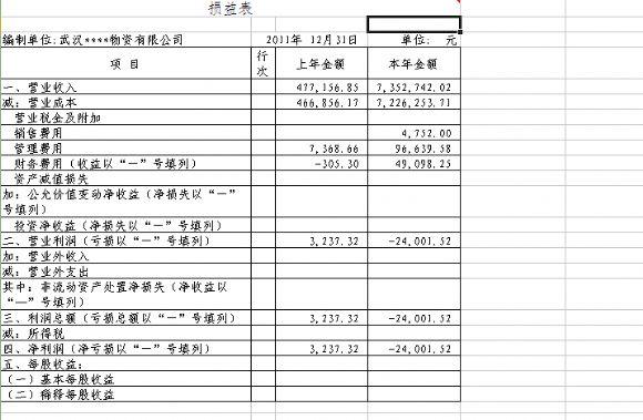 医院年度损益表模板_民营医院损益表-第2张图片-马瑞范文网