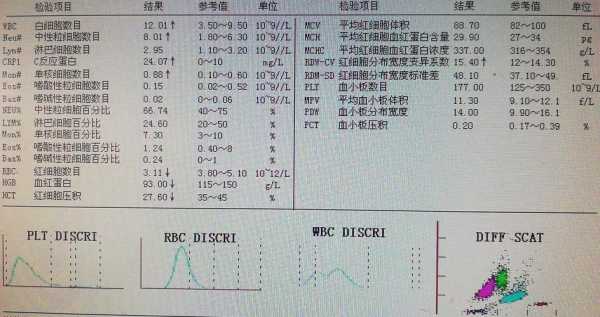 发热病程记录模板_发热病例怎么写呀-第3张图片-马瑞范文网