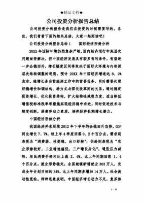 关于投资分析总结报告模板的信息-第2张图片-马瑞范文网