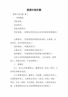 公司筹资计划书模板,筹资计划书模板范文 -第3张图片-马瑞范文网