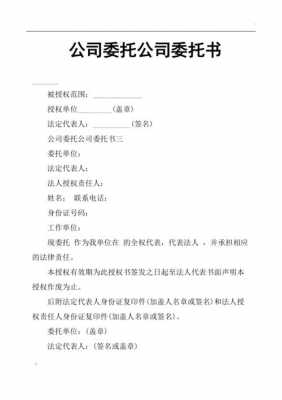 企业委托企业书模板_委托书企业委托企业-第2张图片-马瑞范文网