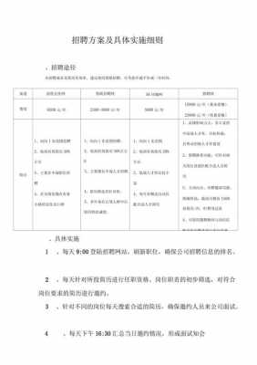 网络招聘实施方案模板,网络招聘实施方案模板怎么写 -第2张图片-马瑞范文网