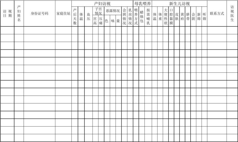  孕产妇下乡记录模板「孕产妇下乡记录模板怎么写」-第2张图片-马瑞范文网