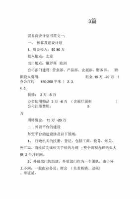  贸易公司计划书模板「贸易公司工作计划」-第3张图片-马瑞范文网