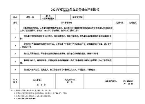 党员公开承诺书模板,党员公开承诺书式样 -第2张图片-马瑞范文网