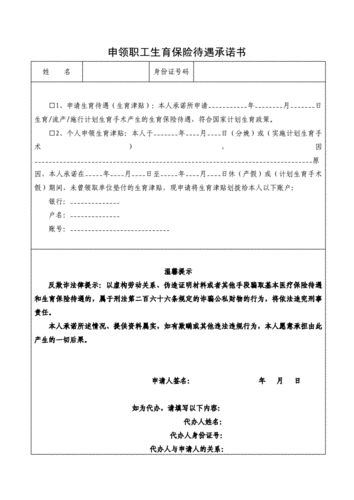 生育险承诺书模板_生育保险个人承诺书怎么写-第3张图片-马瑞范文网