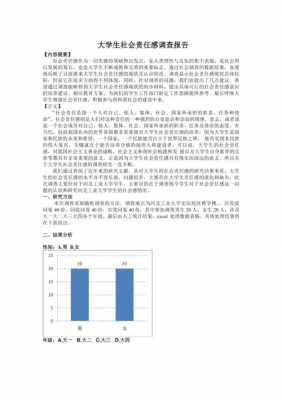 责任调查报告格式模板_关于责任的社会调研-第1张图片-马瑞范文网