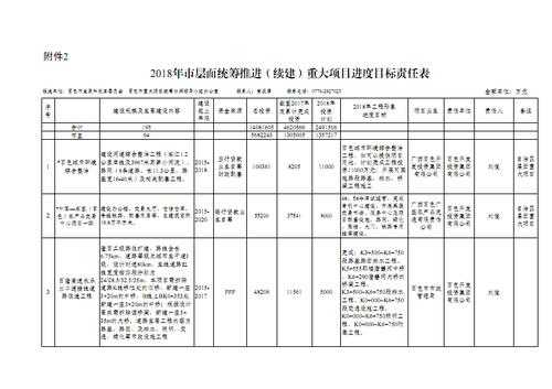  公司统筹项目模板「项目统筹表」-第3张图片-马瑞范文网