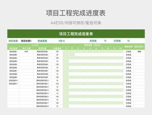 完成项目具体条件模板（项目完成内容）-第3张图片-马瑞范文网