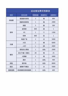  策划设备预算表格模板「策划案费用预算」-第2张图片-马瑞范文网