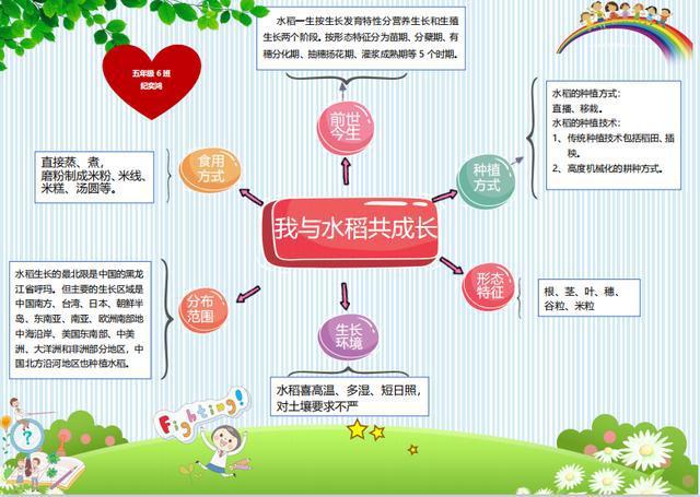 农作物实验方案模板（农作物探究活动表格）-第3张图片-马瑞范文网