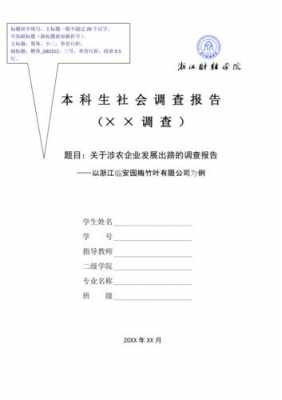 工作调研报告封面模板（调研报告封面排版设计）-第2张图片-马瑞范文网