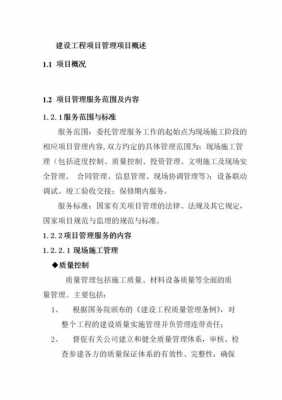 项目方案概述怎么写-方案编写项目概述模板-第2张图片-马瑞范文网