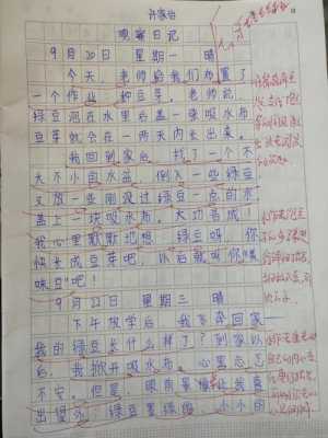 作文格式怎么写模板小学四年级-作文格式怎么写模板小学-第2张图片-马瑞范文网