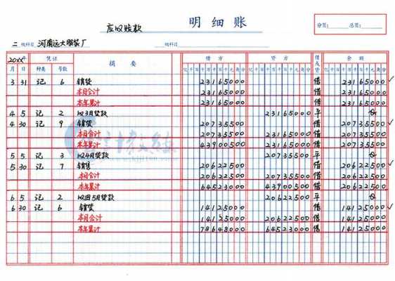 账本双横线怎样画模板,账本隔页了是用蓝线还是红线 -第3张图片-马瑞范文网