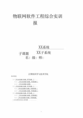 软件实训报告万能模板 软件实训报告模板-第2张图片-马瑞范文网