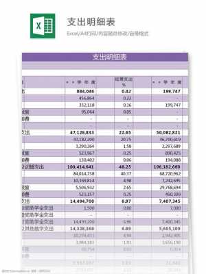 学生支出明细表模板（学校支出表格模板）-第2张图片-马瑞范文网